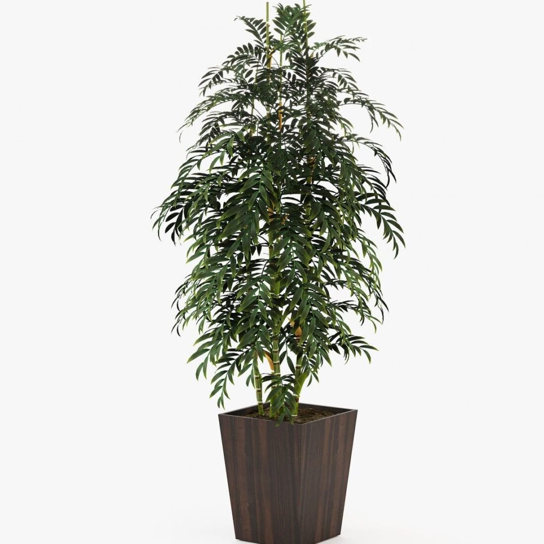 Poppy Flower Pot